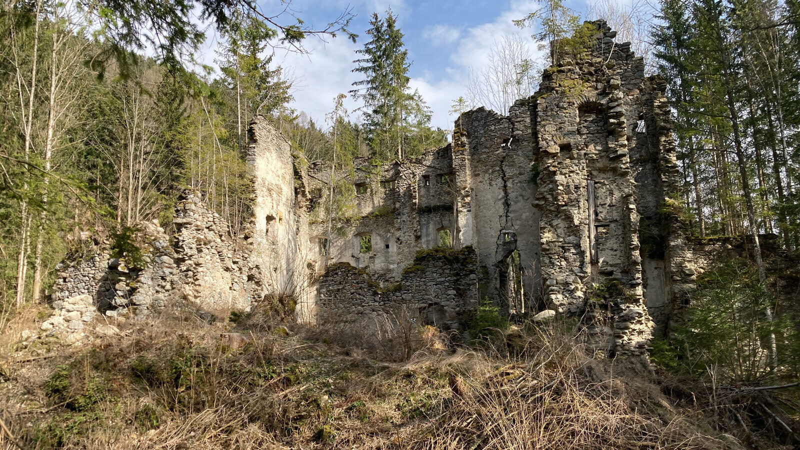BV Burgruine Painburg